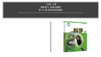小学科学苏教版 (2017)一年级下册11.多姿多彩的植物公开课课件ppt