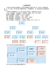 小学科学青岛版 (六三制2017)六年级下册给植物分类巩固练习