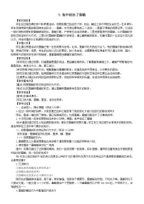 教科版 (2017)三年级下册5.茧中钻出了蚕蛾教案