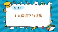 大象版 (2017)六年级上册第一单元 显微镜下的世界1 显微镜下的细胞教课内容ppt课件