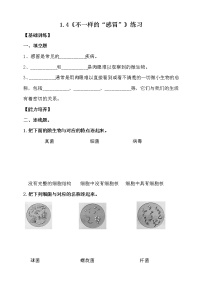 科学六年级上册4 不一样的“感冒”课后练习题