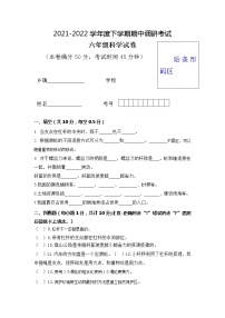 粤教版小学科学六年级下册期中检测卷2（含答案）