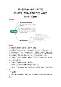 2022-2023学年青岛版科学五年级下册单元复习讲义：第五单元 密切联系的生物界（知识点清单）