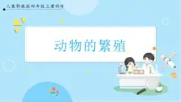 小学科学人教鄂教版 (2017)四年级上册6 动物的繁殖优秀课件ppt