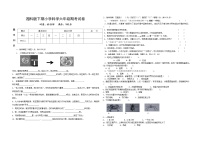 湘科版小学科学六年级下册期考试卷4（含答案）