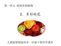 小学科学人教鄂教版 (2017)一年级下册第一单元 校园里的植物2 多彩的花课文ppt课件