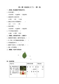 小学科学苏教版 (2017)三年级下册2 幼苗长大了第2课时课后作业题