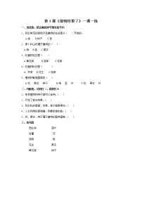 小学科学苏教版 (2017)三年级下册第一单元 植物的一生4 植物结果了第4课时精练