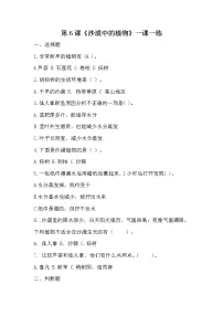苏教版 (2017)三年级下册6 沙漠中的植物课后作业题