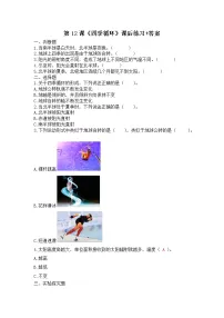 小学科学第三单元 地球的运动12 四季循环课时作业
