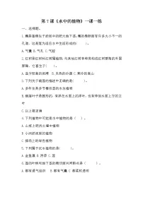 科学三年级下册7 水里的植物同步测试题