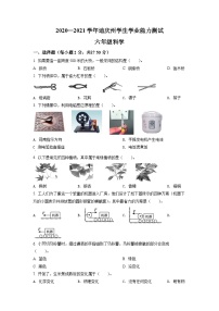 【小升初真题卷】2020-2021学年云南省迪庆州教科版六年级下册期末考试科学试卷（原卷版+解析版）