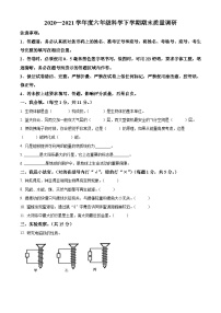 【小升初真题卷】2020-2021学年山东省临沂市蒙阴县青岛版六年级下册期末考试科学试卷（原卷版+解析版）