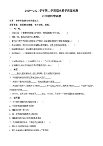 【小升初真题卷】2020-2021学年山东省德州市禹城市青岛版六年级下册期末考试科学试卷（原卷版+解析版）