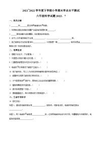 【小升初真题卷】20212022学年山东省临沂市兰山区青岛版六年级下册期末考试科学试卷（原卷版+解析版）