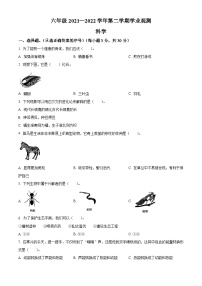 【小升初真题卷】2021-2022学年山西省大同市新荣区苏教版六年级下册期末考试科学试卷（原卷版+解析版）