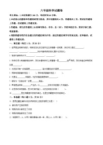 【小升初真题卷】2021-2022学年新疆塔城地区沙湾市教科版六年级下册期末考试科学试卷（原卷版+解析版）