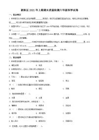 【小升初真题卷】2020-2021学年江西省抚州市宜黄县粤教版六年级下册期末考试科学试卷（原卷版+解析版）