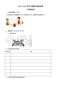 【小升初真题卷】2020-2021学年河南省新乡市卫辉市粤教版六年级下册期末调研科学试卷（原卷版+解析版）