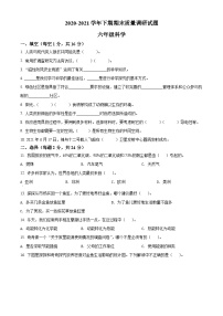 【小升初真题卷】2020-2021学年河南省济源市大象版六年级下册期末质量调研科学试卷（原卷版+解析版）