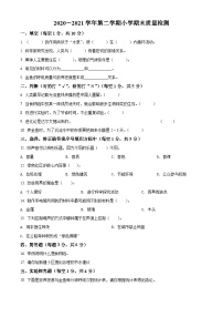 【小升初真题卷】2020-2021学年河南省濮阳市南乐县大象版六年级下册期末考试科学试卷（原卷版+解析版）