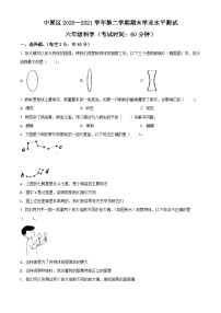 【小升初真题卷】2020-2021学年河南省郑州市中原区教科版六年级下册期末水平测试科学试卷（原卷版+解析版）