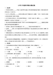 【小升初真题卷】2020-2021学年河南省郑州市经济开发区大象版六年级下册期末测试科学试卷（原卷版+解析版）