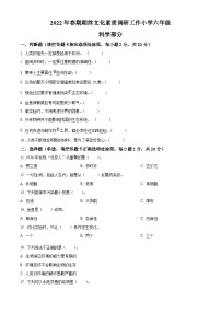 【小升初真题卷】2021-2022学年河南省南阳市方城县大象版六年级下册期末考试科学试卷（原卷版+解析版）