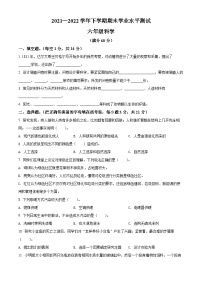 【小升初真题卷】2021-2022学年河南省焦作市沁阳市教科版六年级下册期末考试科学试卷（原卷版+解析版）