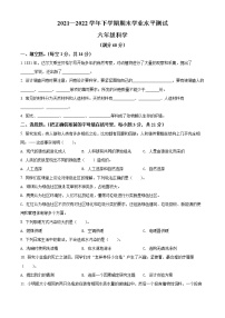 【小升初真题卷】2021-2022学年河南省登封市大象版六年级下册期末考试科学试卷（原卷版+解析版）