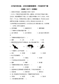 小升初大象版（2017秋）科学六年级下册专项训练：太阳对动植物的影响 （含答案）