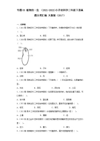 专题03 植物的一生 ——2021+2022年小升初科学大象版（2017）真题汇编三年级下册