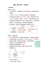 专题1 微小世界——2023年小升初科学教科版专题复习六年级上册