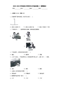 提高卷：2023年小升初科学模拟试卷二（冀人版）