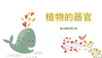 小学冀人版 (2017)7 植物的一生优秀ppt课件
