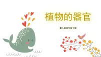 小学冀人版 (2017)7 植物的一生优秀ppt课件