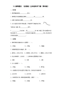 青岛版 (六三制2017)五年级下册第三单元 春夏星空13 春季星空课后作业题