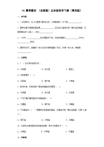 科学五年级下册14 夏季星空巩固练习