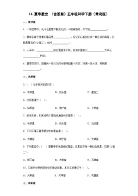 科学五年级下册14 夏季星空巩固练习
