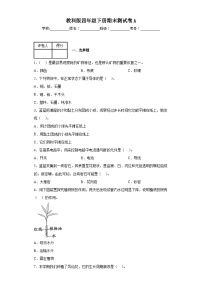 2023教科版四年级下册期末测试卷A