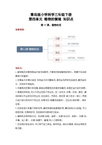 【期末复习】第四单元 植物的繁殖——三年级下册科学单元知识点总结（青岛版）