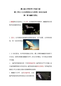 【期末复习】第三单元《大自然的启与发明示》冀人版六年级下册科学单元知识点总结
