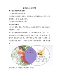 【期末复习】第五单元 生物与环境——四年级下册科学单元知识点总结（苏教版）