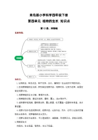 【期末复习】第四单元 植物的生长——四年级下册科学单元知识点总结（青岛版）