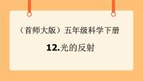 小学首师大版12.光的反射优秀课件ppt