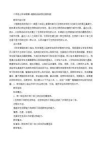 六年级上科学教案相貌各异的我们_教科版