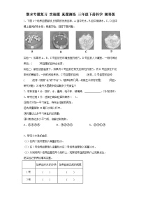 期末专题复习实验题真题演练三年级下册科学湘科版