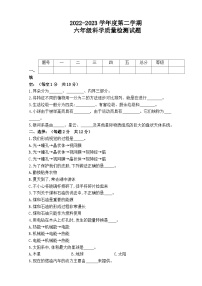 2022-2023学年六年级科学下册期末模拟卷二（青岛版）