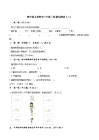 小学科学教科版（2017）二年级下册期末模拟卷2（含答案）