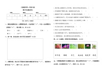 小学科学大象版一年级下册期末模拟卷1